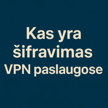Kas yra šifravimas VPN paslaugose – informacinis paveikslėlis